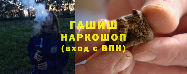 дмт Бородино
