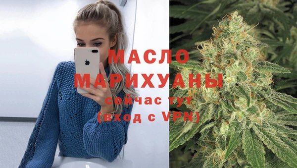дживик Бронницы
