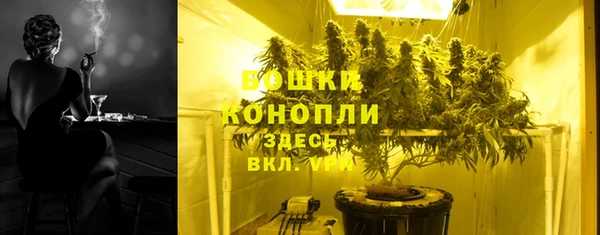 дмт Бородино