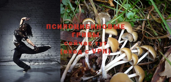 дживик Бронницы