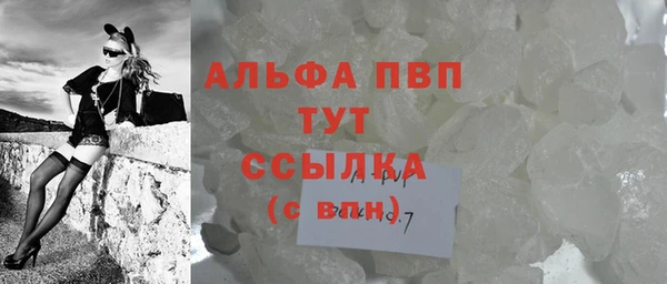 дмт Бородино