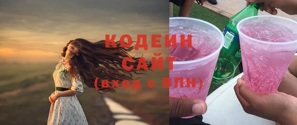 дмт Бородино