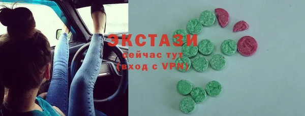 дмт Бородино