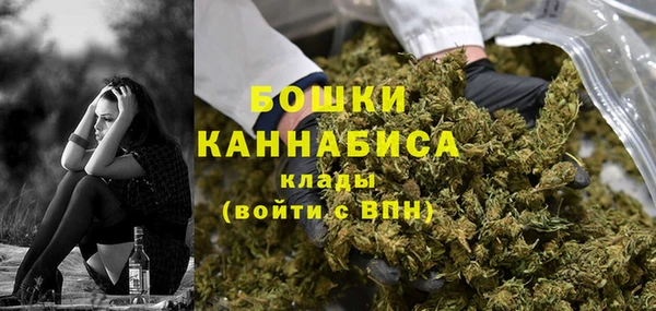 дмт Бородино