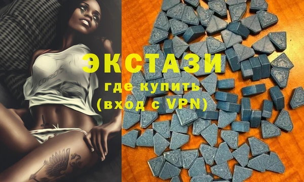 дмт Бородино