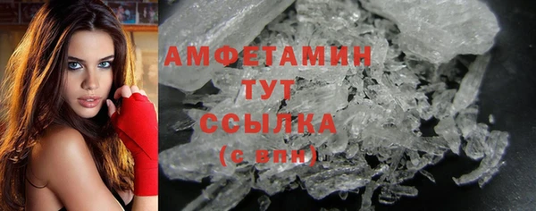 дмт Бородино