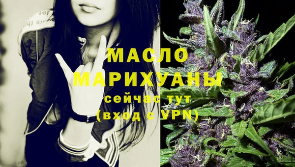 дживик Бронницы