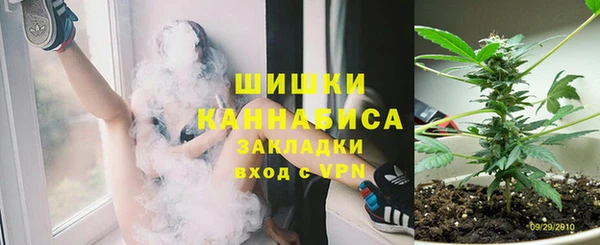 дмт Бородино
