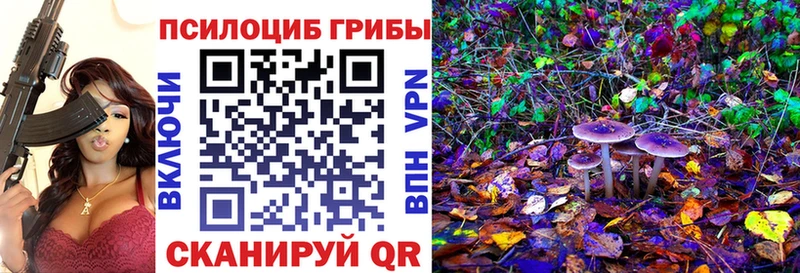 Купить где  Менделеевск  Псилоцибиновые грибы мицелий 